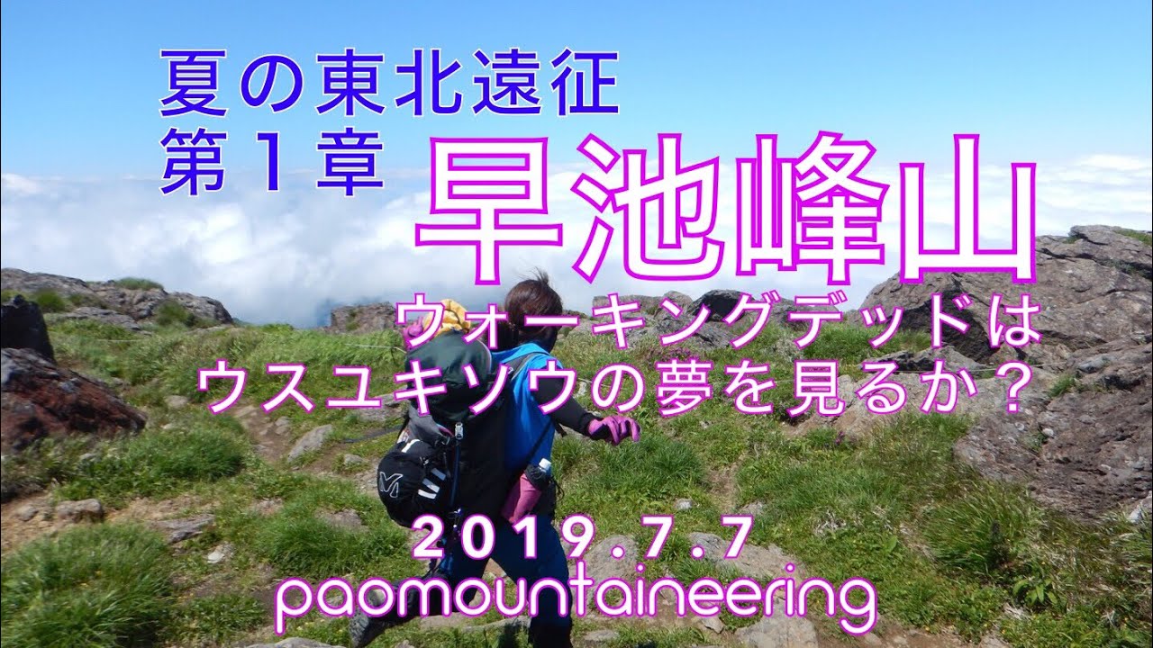 【山行フル動画】早池峰山【花！空！花！と素敵な出会い】