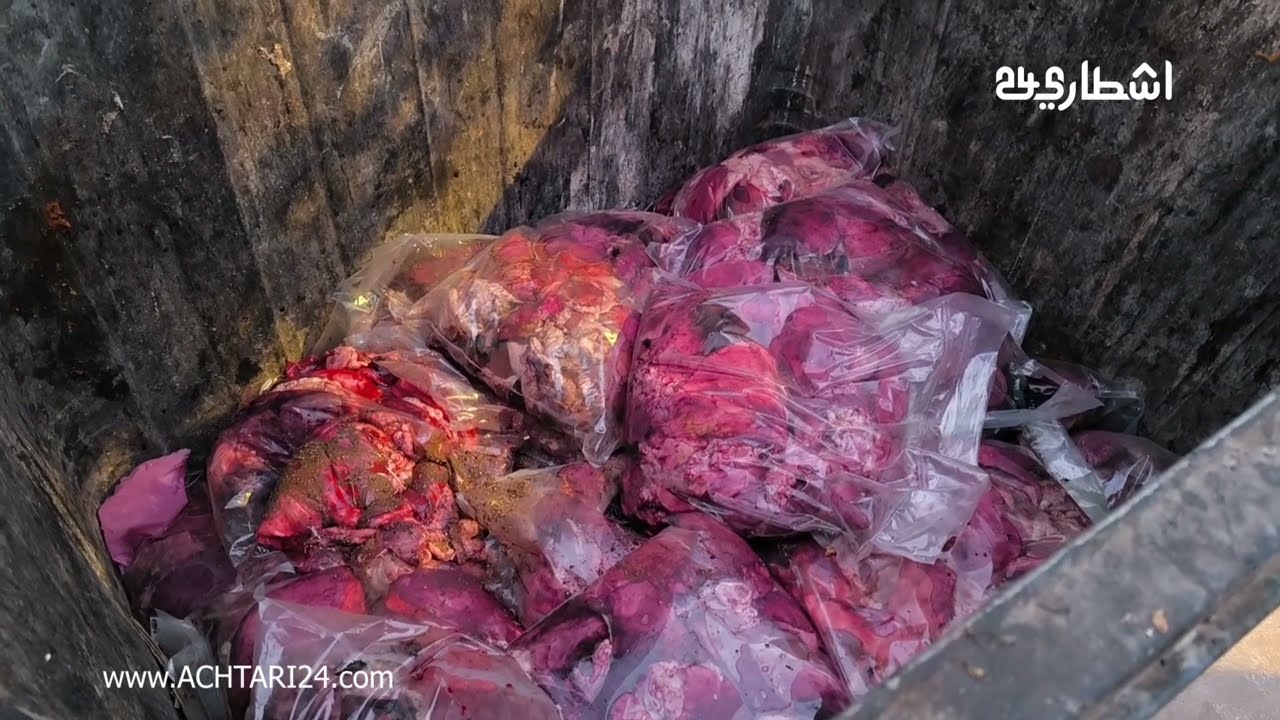 العثور على كميات كبيرة من رؤوس و عظام يشتبه ان تكون لحمير و بغال