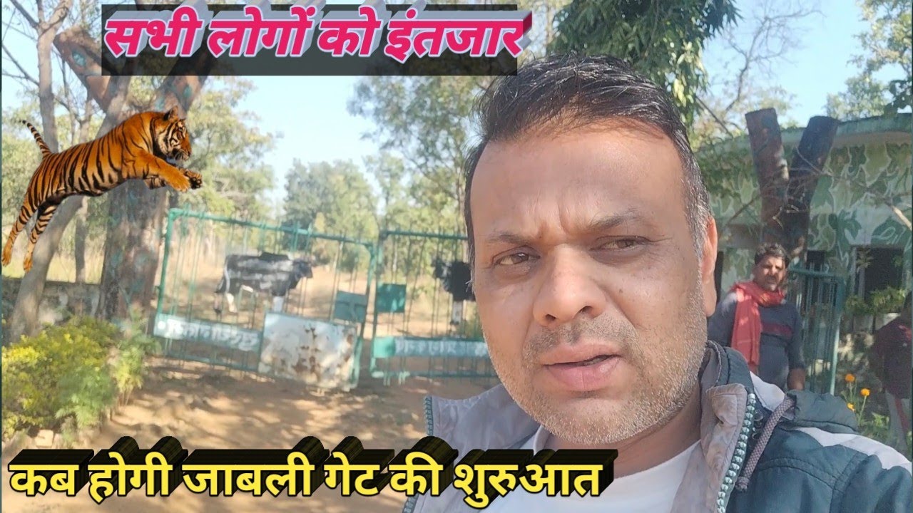 सभी पर्यटकों को इंतजार कब होगी जांबली गेट की शुरुआत|जांबली गेट|Nawegaon Bath National park 