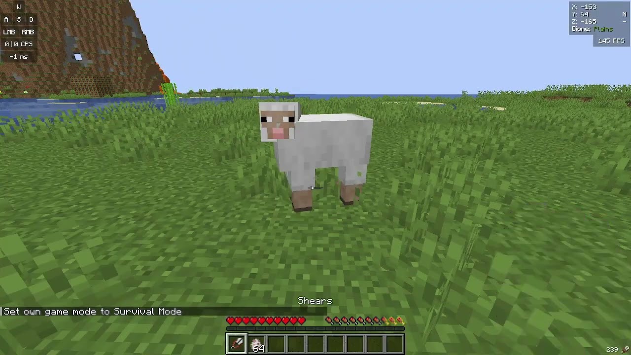 Minecraft Sheep Sound Effect