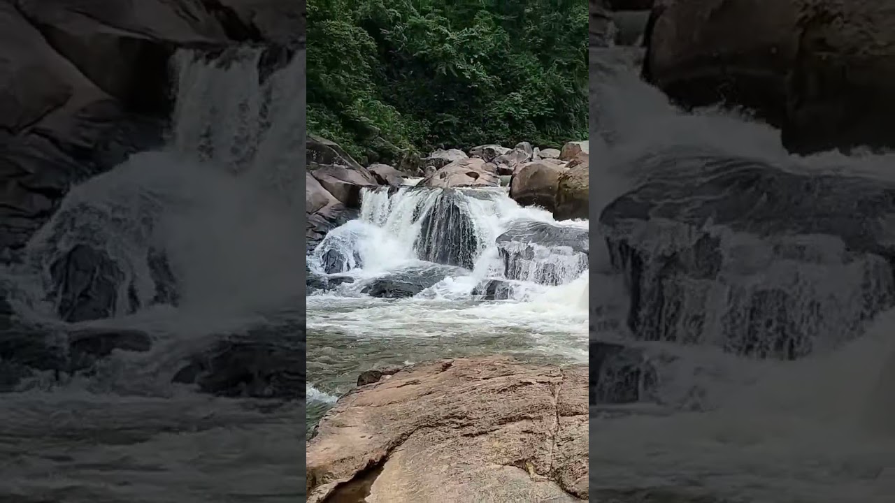 hohuwa picnic spot #nature #garohills shorts video