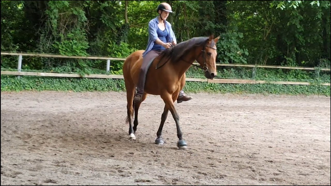 Reiten im Hier und Jetzt #11 - Sitz und Einwirkung ohne Sattel