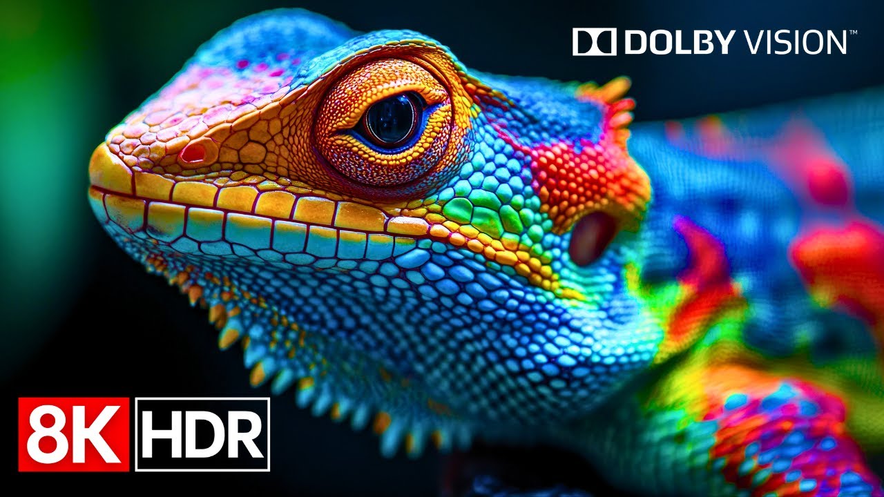 Mind-Blowing 8K HDR Dolby Vision in 60fps | The Sharpest Video You&rsquo;ll See