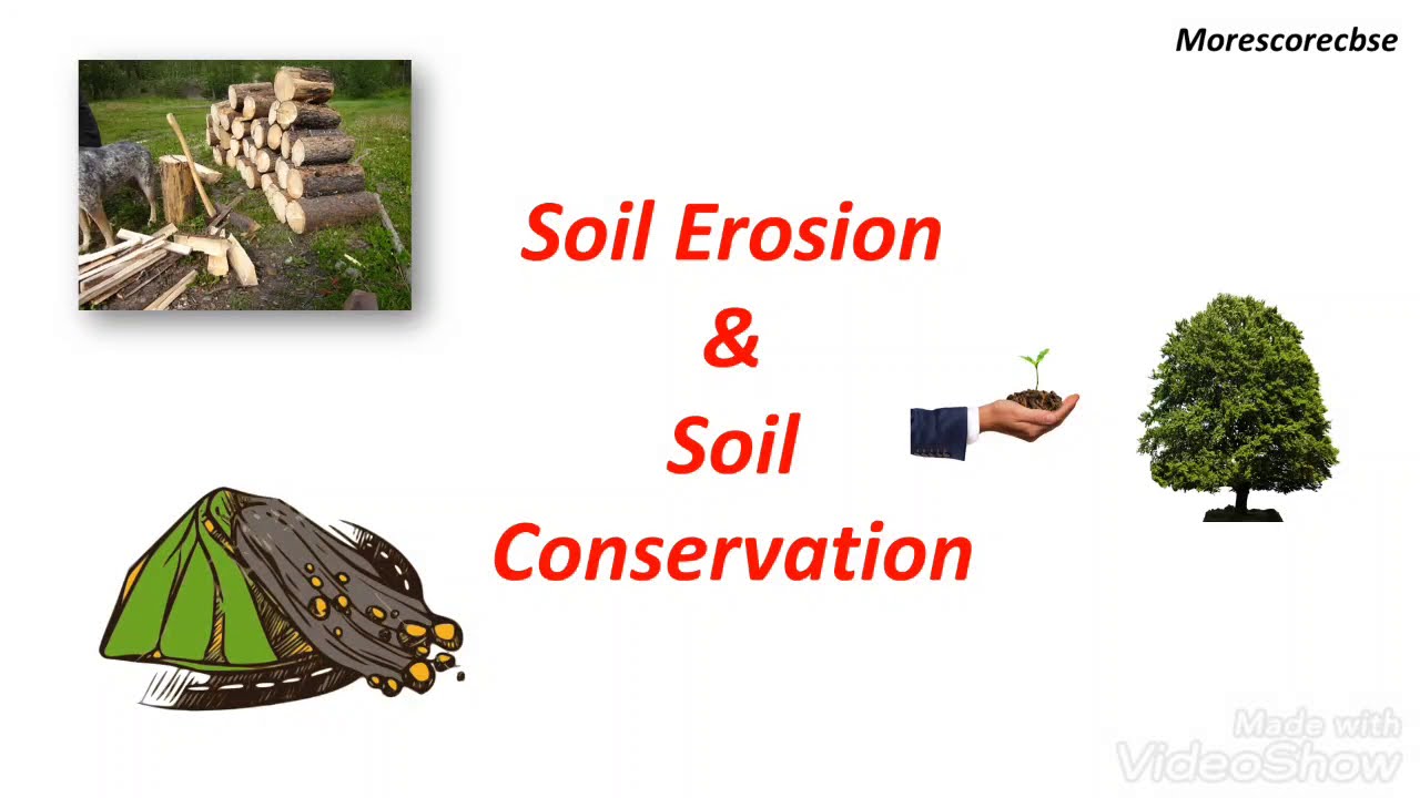 #morescorecbse #soilerosion CBSE Class 5 / Science/ Soil Erosion/Soil Conservation