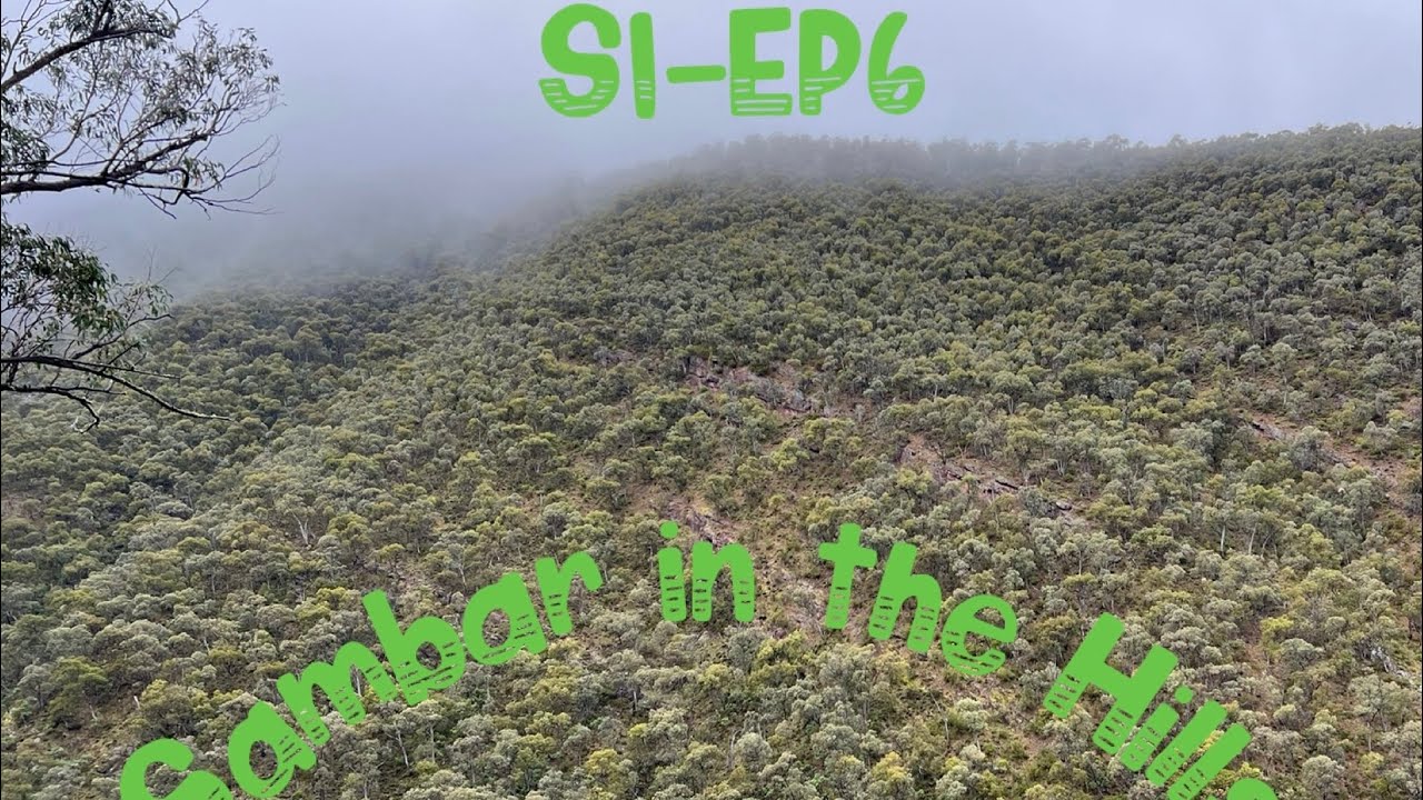 S1-Ep6 Sambar in the Hills