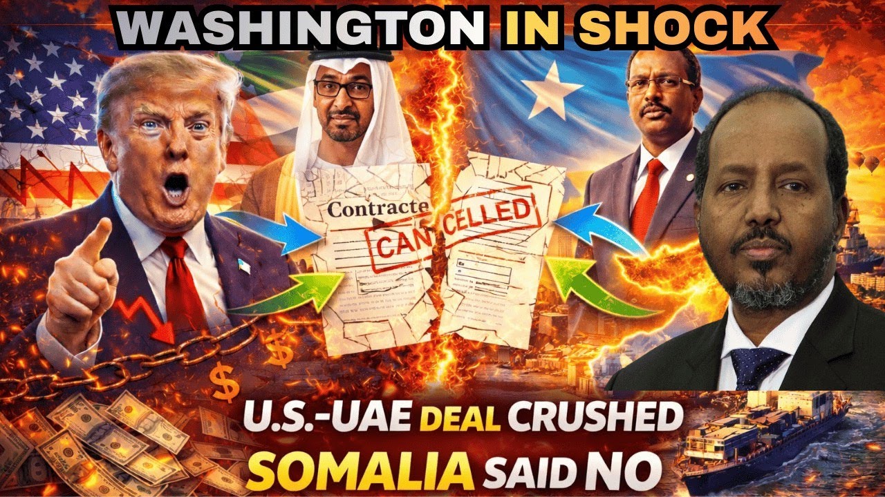 Why the UAE Just Lost SOMALIA-Every Contract Is Now Cancelled