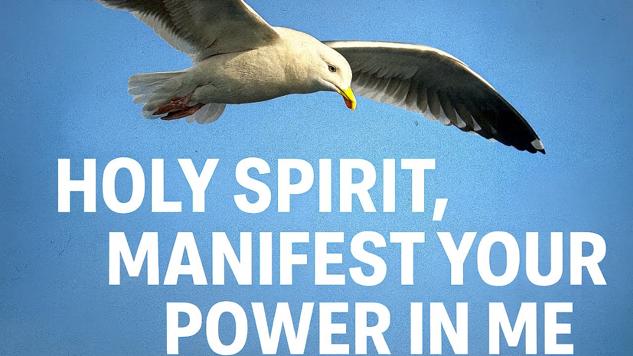 HOLY SPIRIT, MANIFEST YOUR POWER IN ME