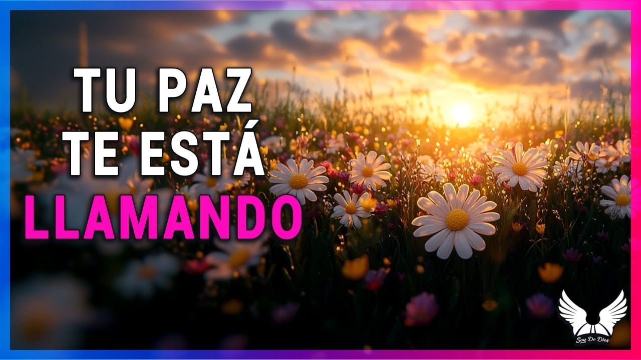 Reflexiones De La Vida  3 Claves Para Encontrar Alegría
