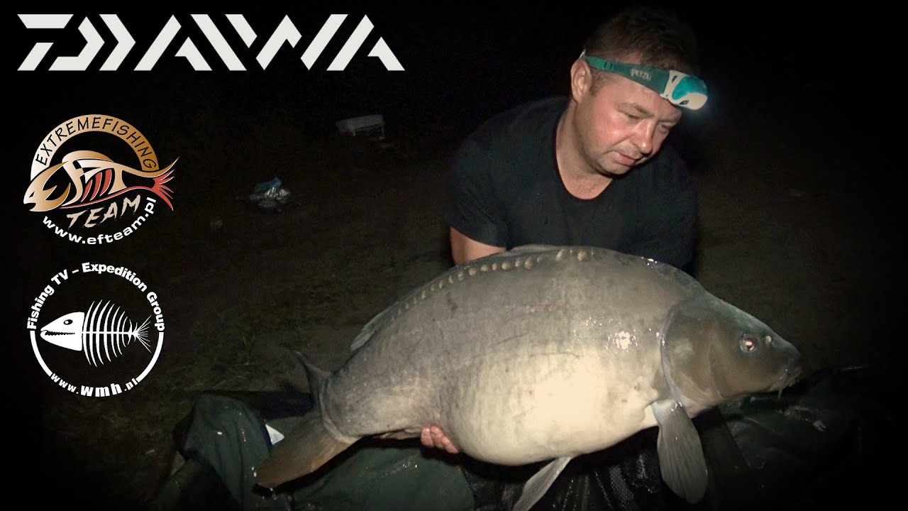 Wędka Daiwa z serii Vertice Carp 3m 3lb
