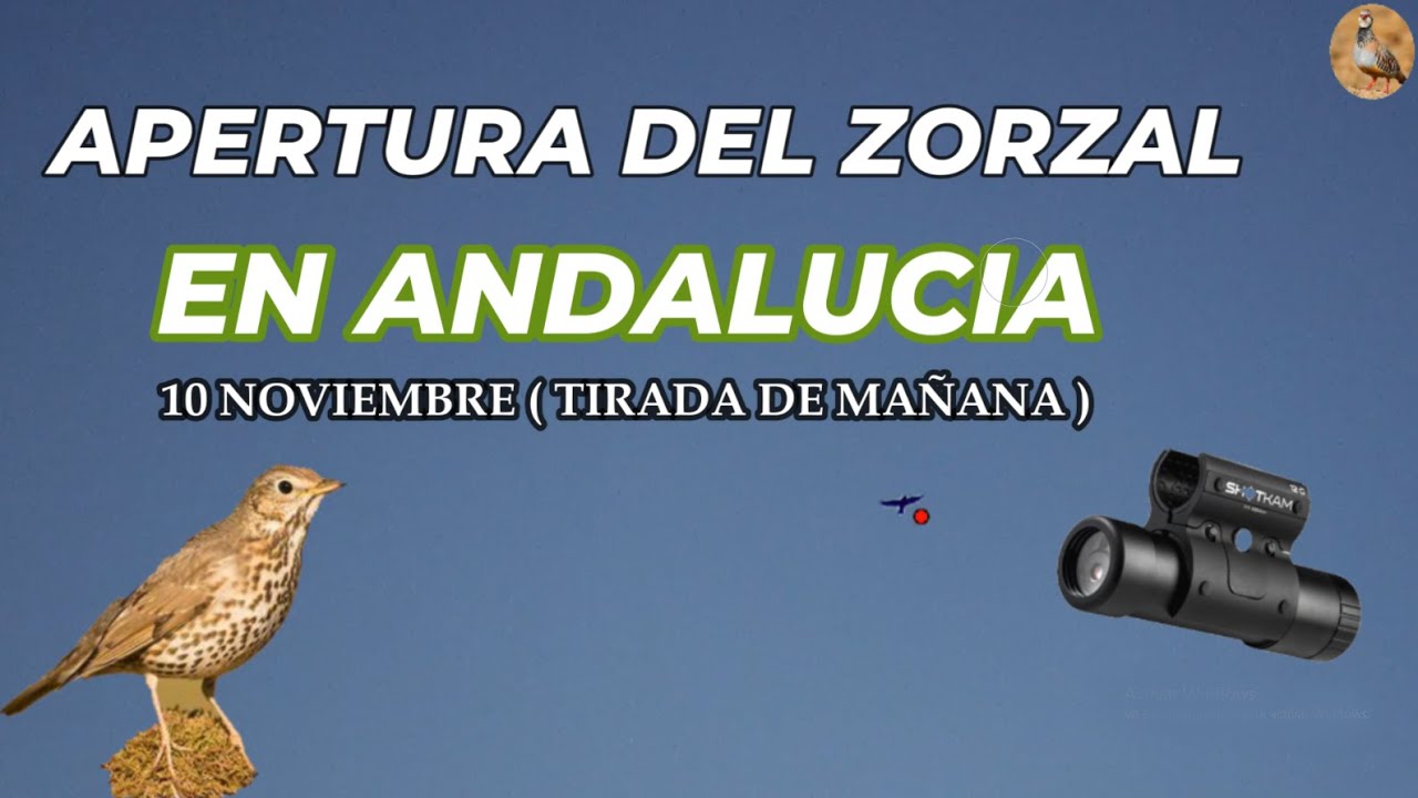 PRIMER DIA DE ZORZAL - TORDOS EN ANDALUCIA / MUCHOS FALLOS PERO LO PASO GENIAL
