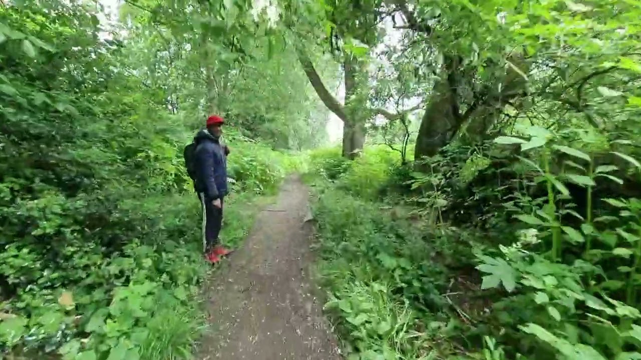 A Kersal Wetlands Walk