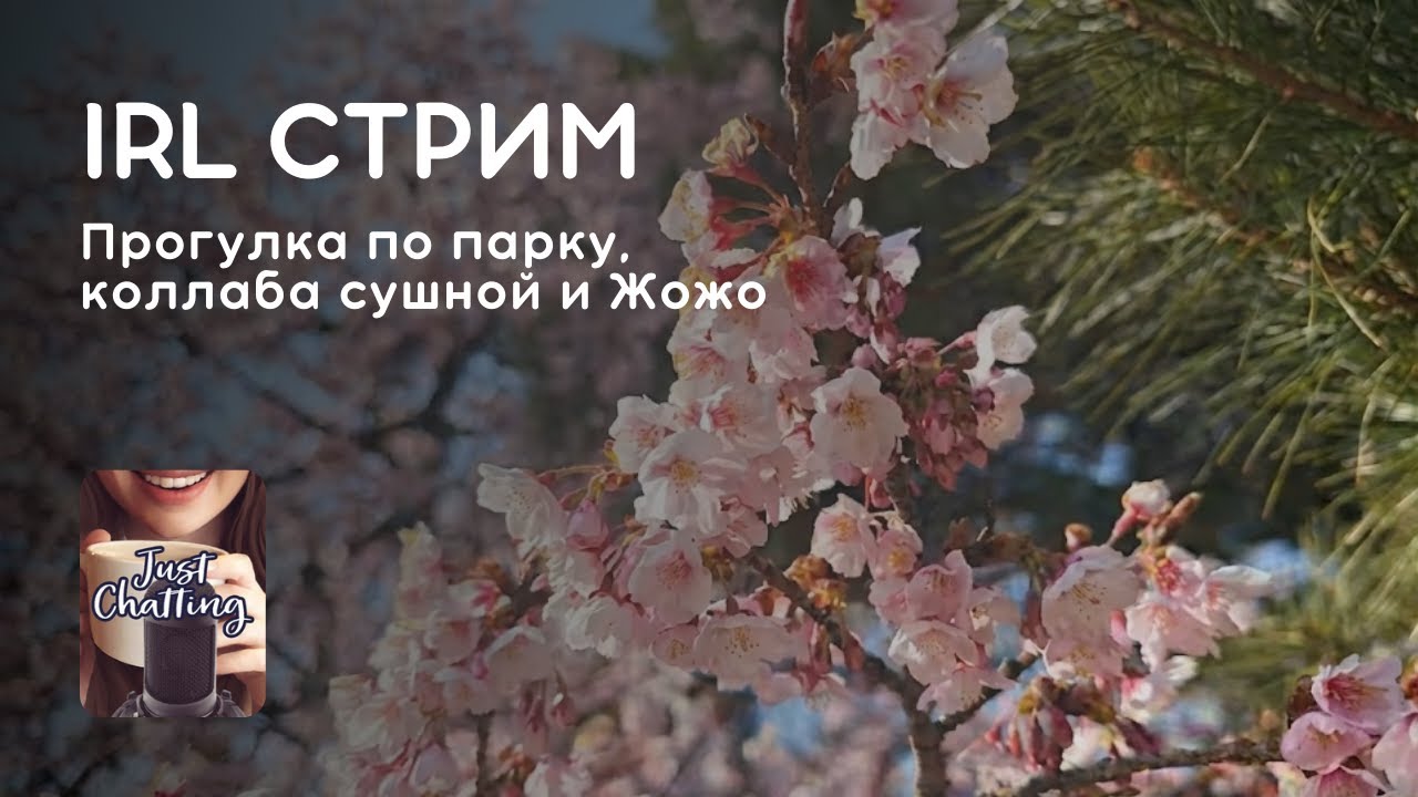 Стрим 06.02.2026: ИРЛ В ТОКИО - САКУРА, КОЛЛАБА СУШИ С ЖОЖО