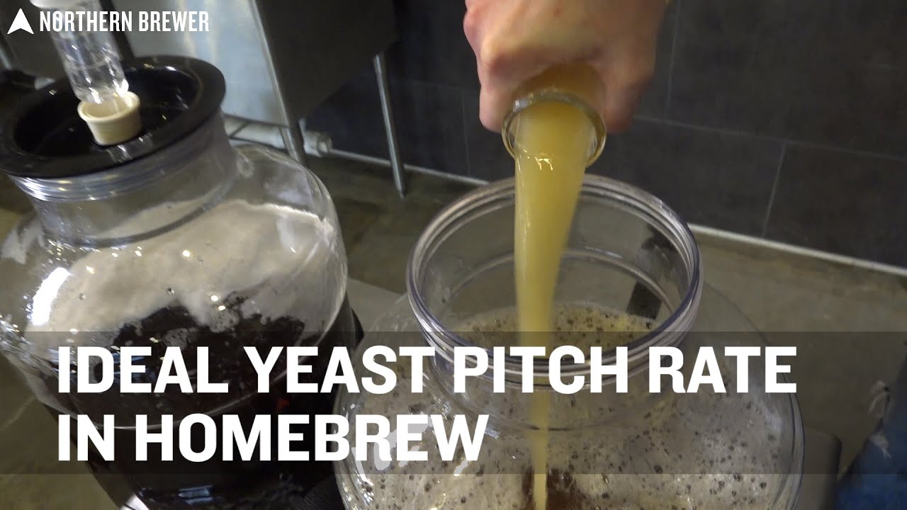 Ideal Yeast Pitch Rate for Homebrew