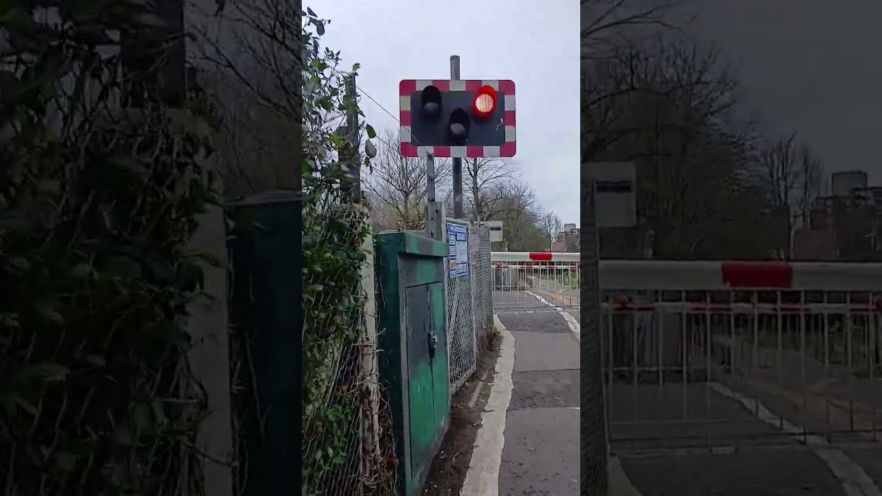 Both Barriers Lower at Once – Vine Road Twin Level Crossing