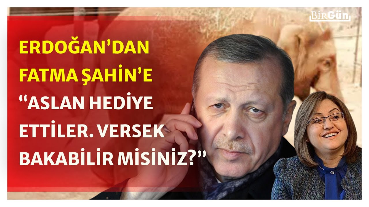 Erdoğan ile Fatma Şahin arasında ilginç telefon konuşması: “Gece vakti dişi fili nereden bulayım?”