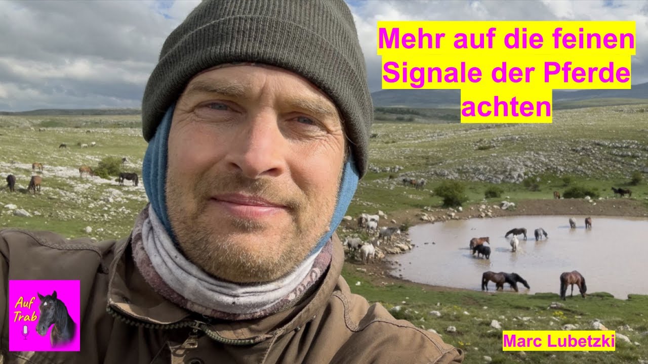 Tierfilmer Marc Lubetzki im Gespräch mit wilden Pferden und mit AUF TRAB