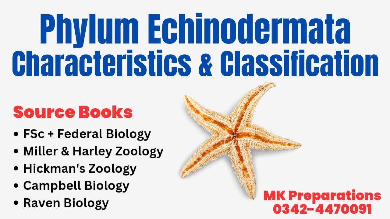 Phylum Echinodermata Characteristics, Phylogeny & Classification | Zoology & Biology Lecturer Prep.