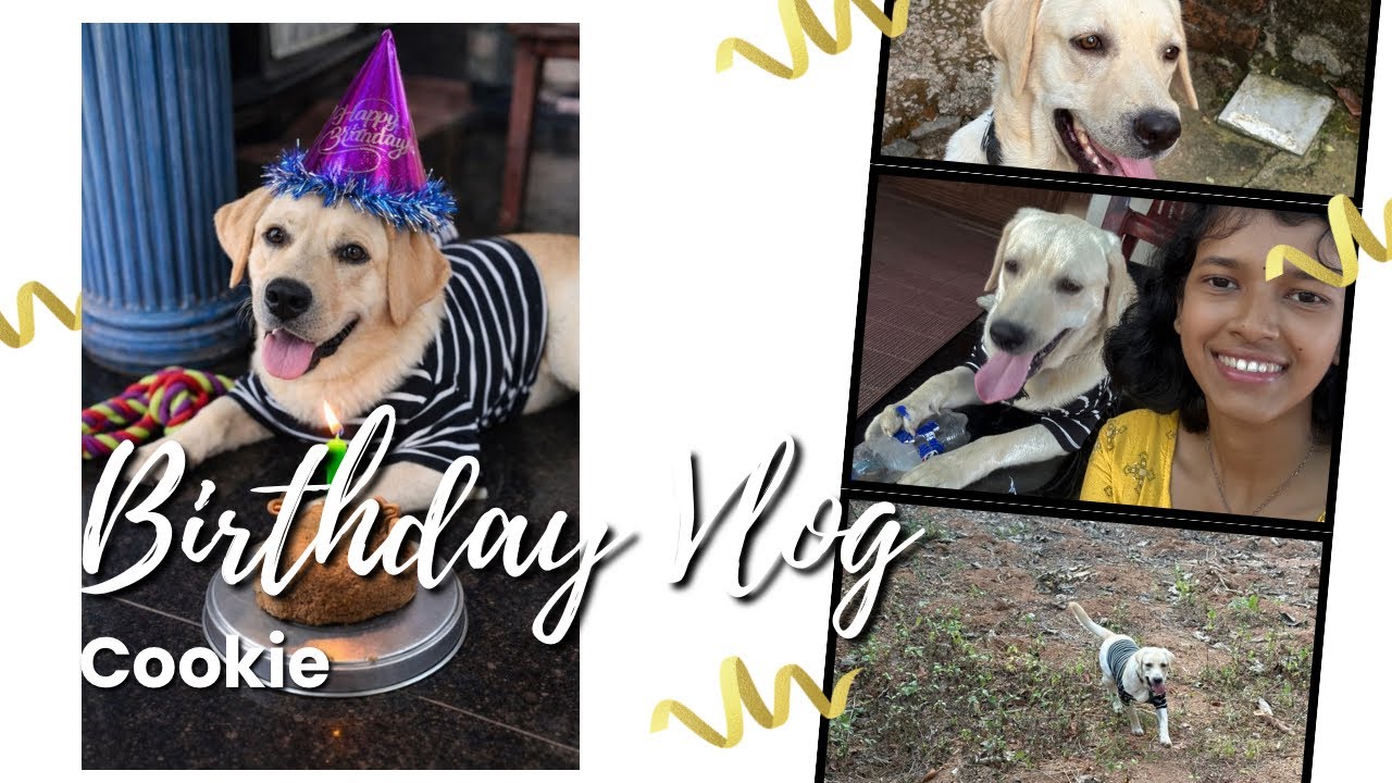 Cookie’s Birthday Special Live❤️❤️‍🩹🐾🐶🦴