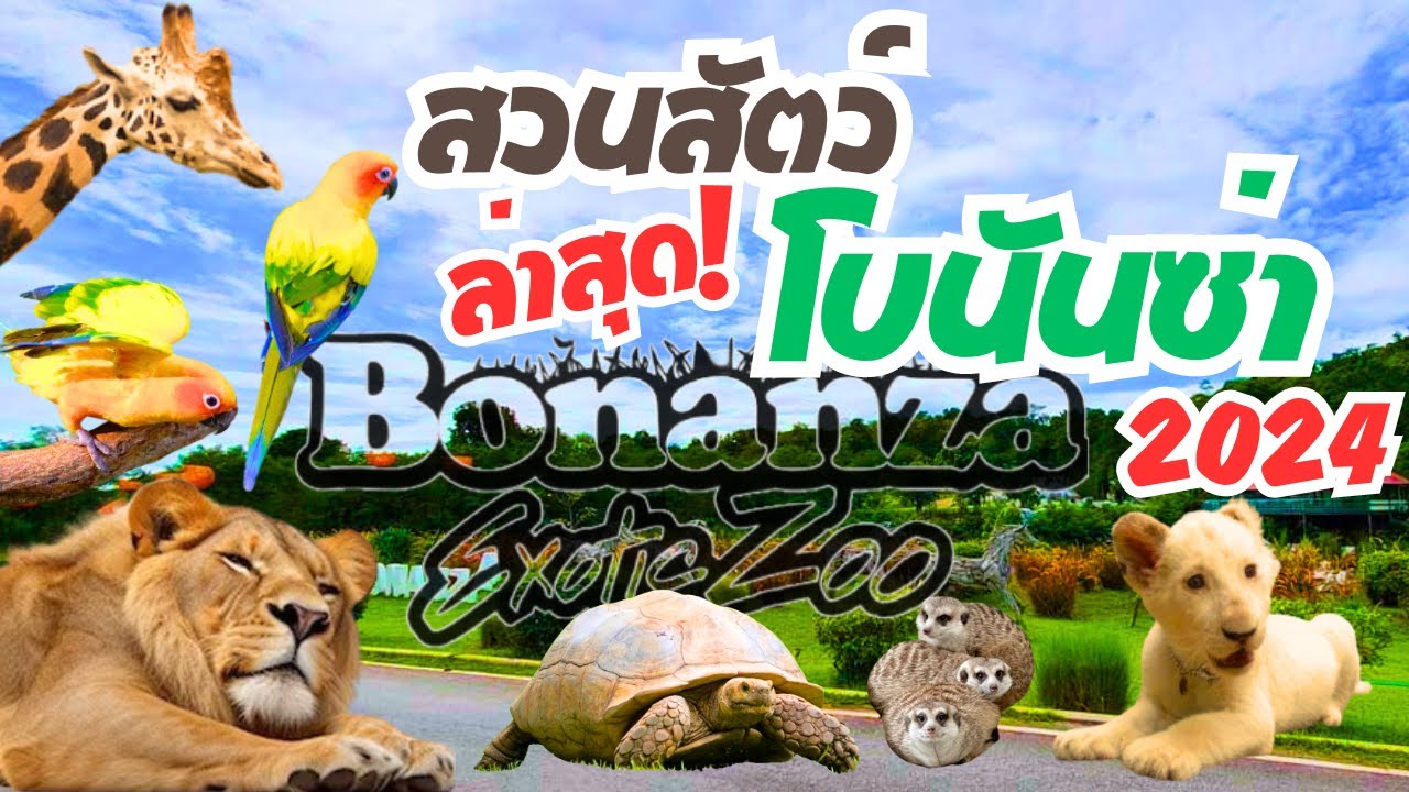 สวนสัตว์โบนันซ่าเขาใหญ่ ล่าสุด!  Bonanza Exotic Park  เอกโซติกซู  2567 | 2024