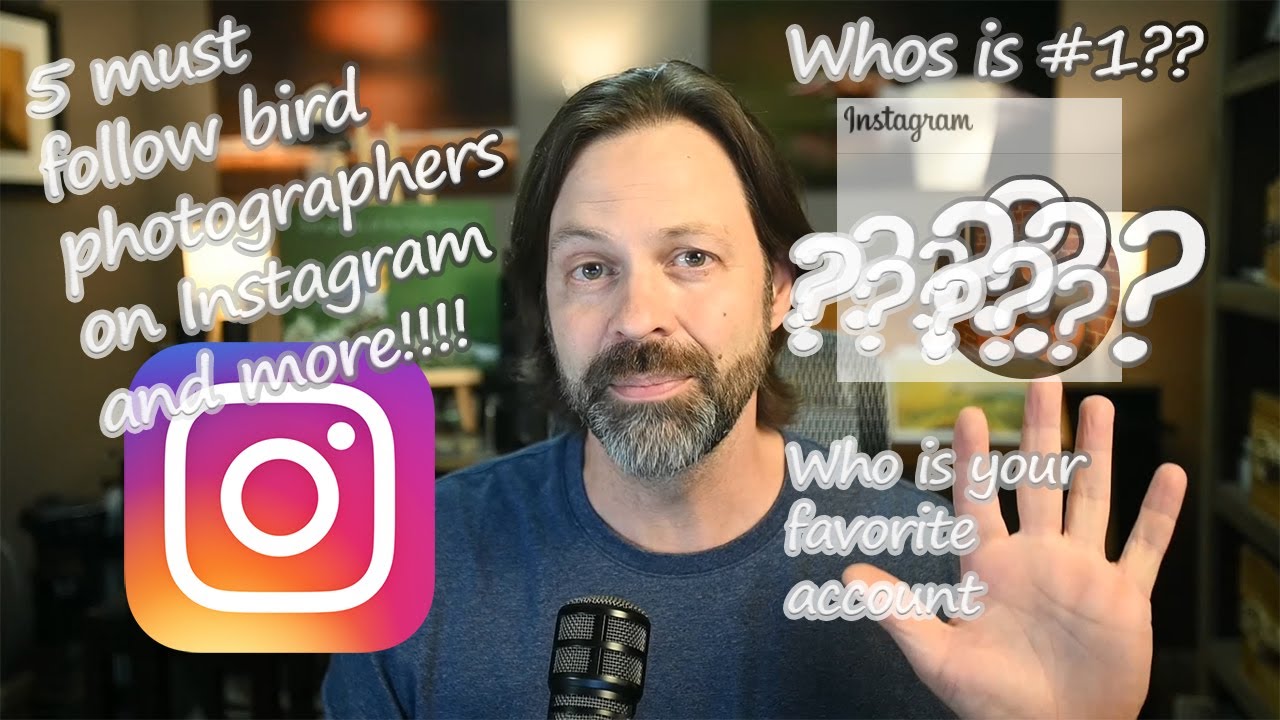 5 Must Follow IG Accounts (AND MORE) for Bird Photographers - The U.S. Edition