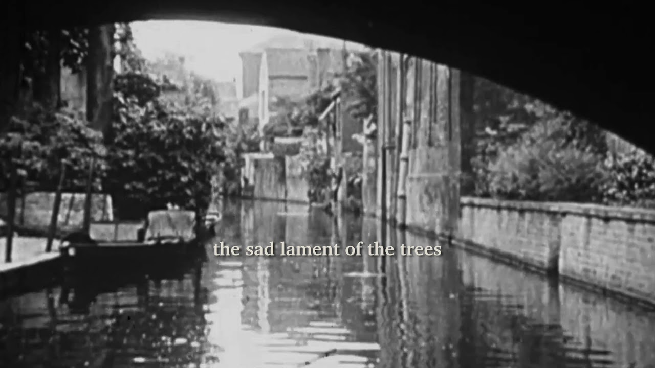 The Fake Druids - Bruges-La-Morte