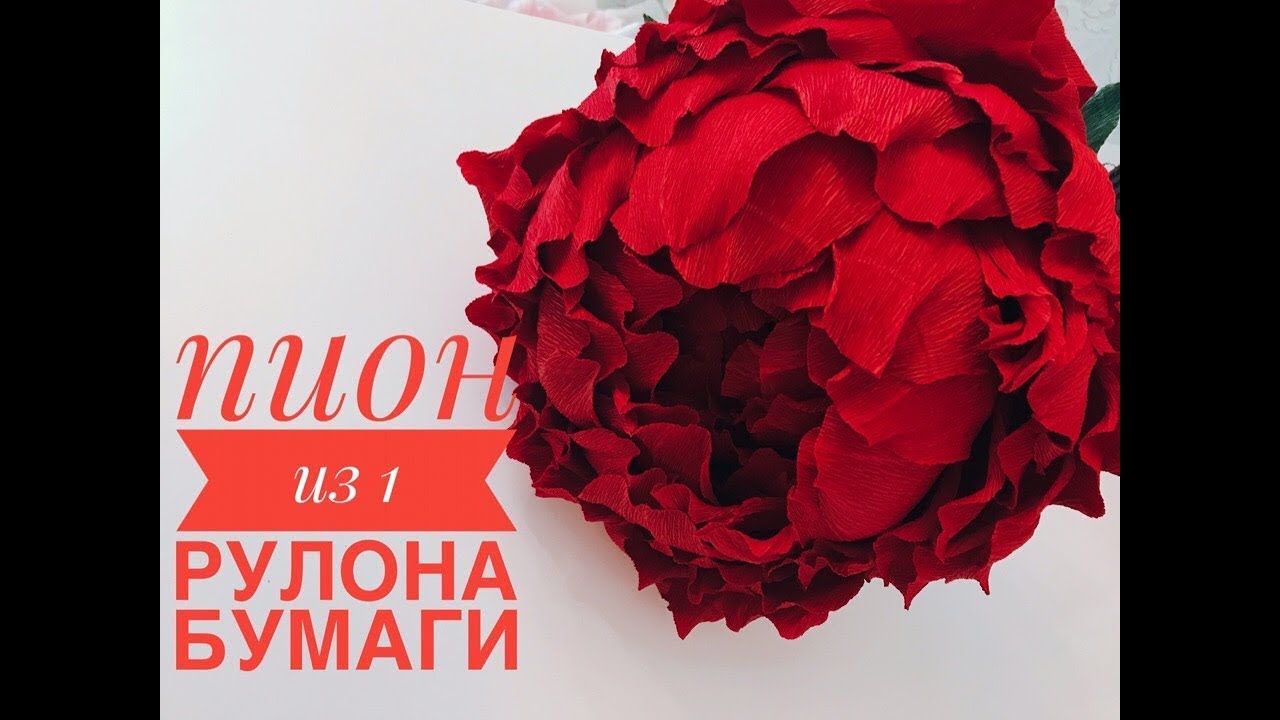 пион из гофро. бумаги из 1 рулона