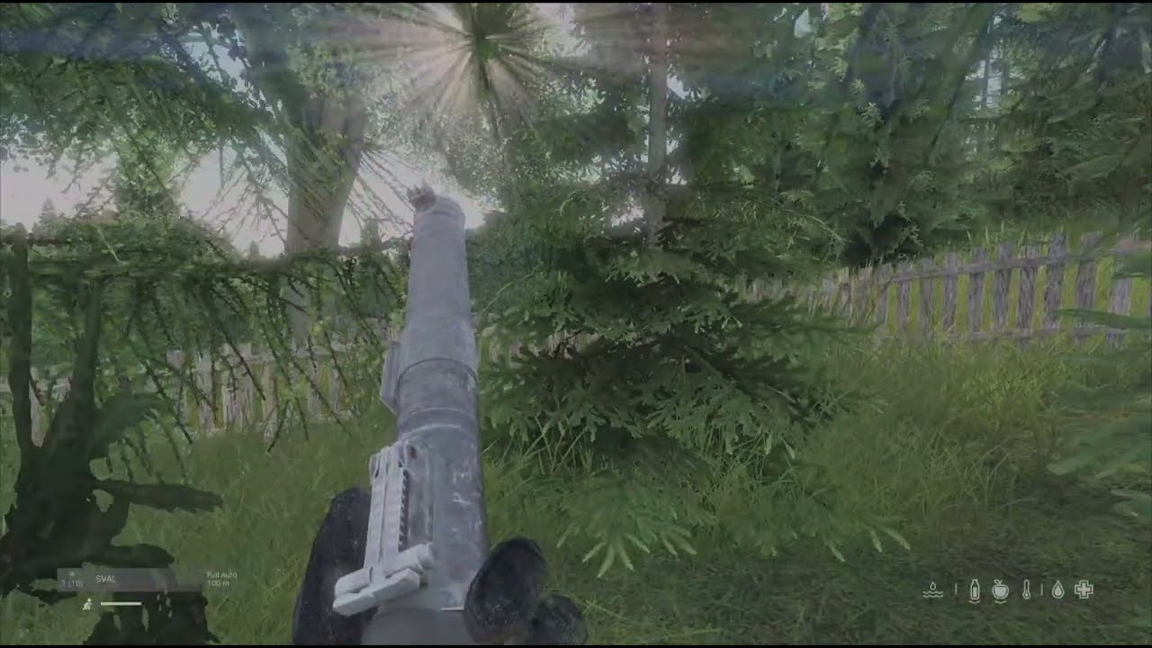Random DayZ clips #18