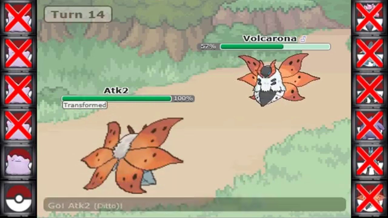 Pokemon Showdown Battle | Full Ditto Team
