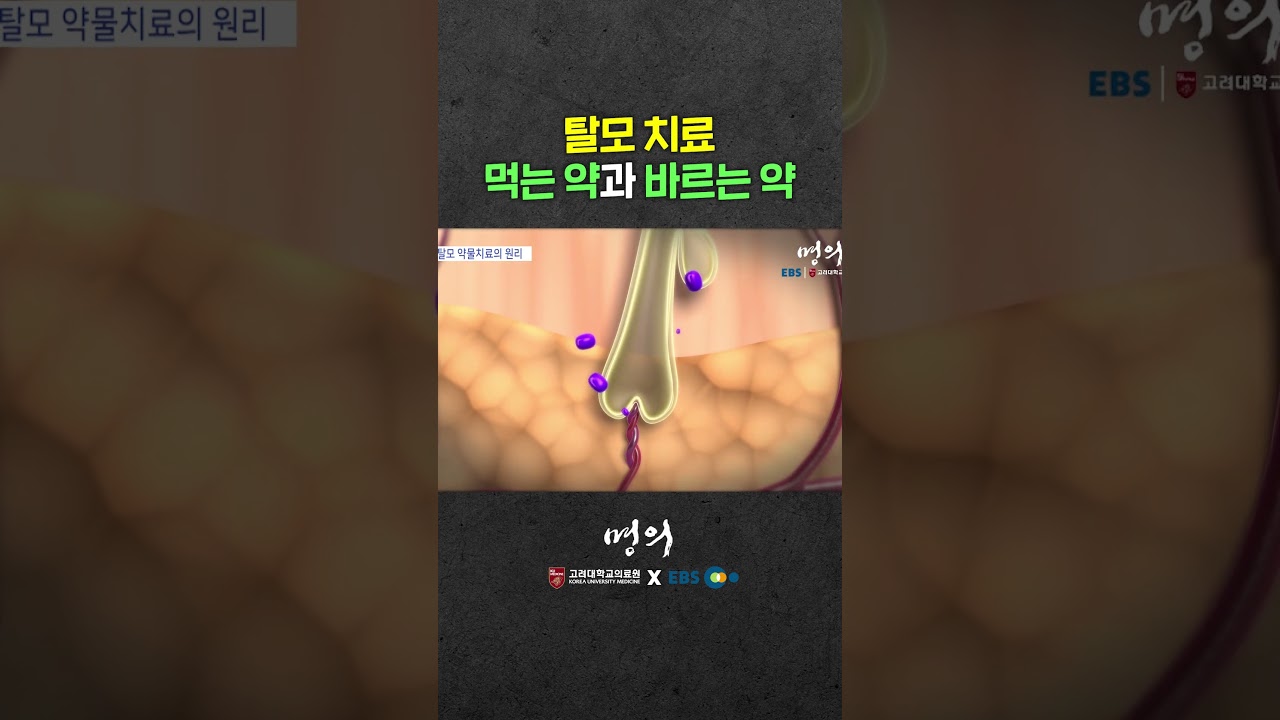 탈모 약물치료 원리를 알아보자🔍