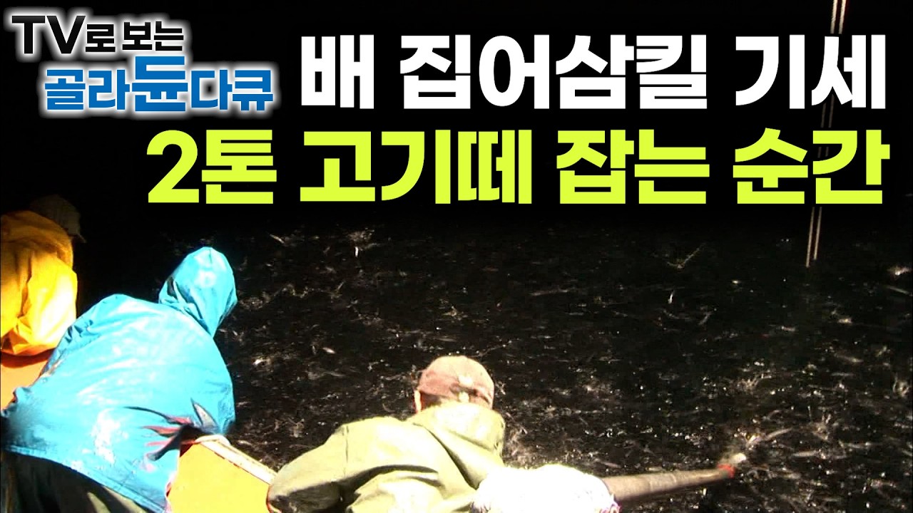 그물 무게만 5톤. 8명이 밤새 끌어올린다｜허탕만 치던 그때 혹시나 해 배 아래 비춰봤더니｜저녁 6시에 출항해 새벽까지 싸운다. 추자도 멸치잡이 어선｜극한직업｜#골라듄다큐