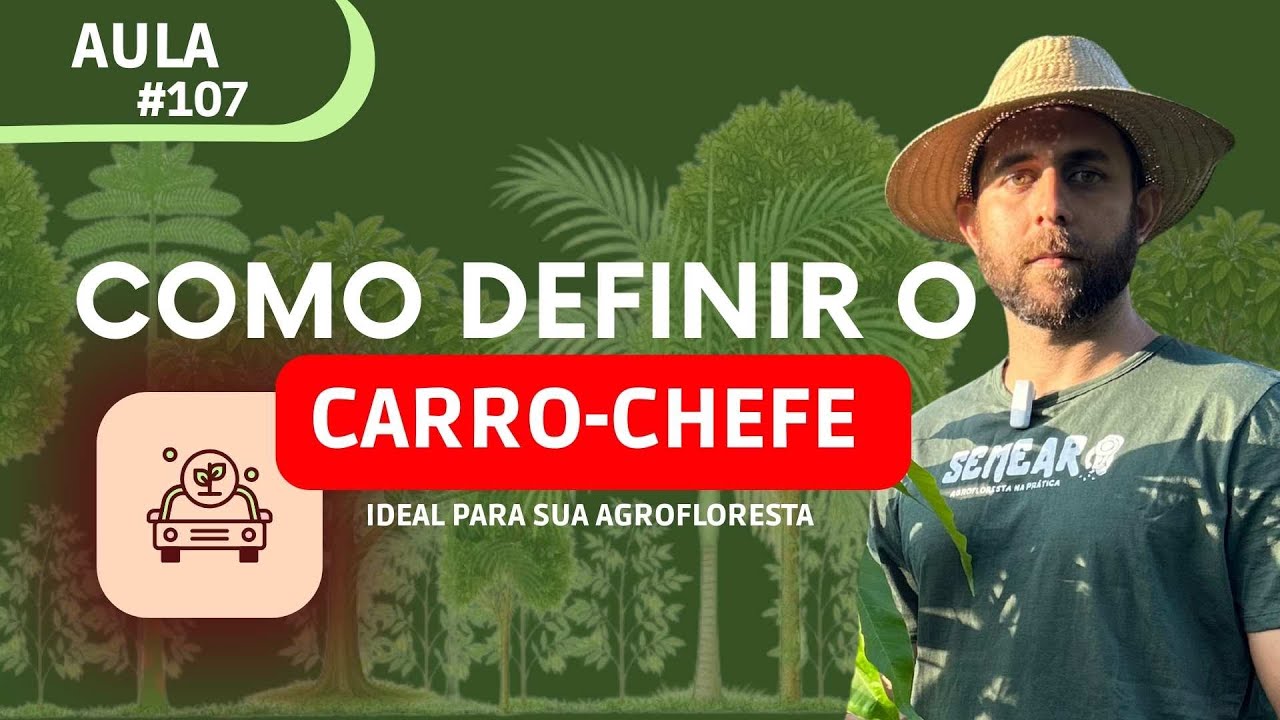 Aula #107/ O CARRO-CHEFE NA AGROFLORESTA  (Ecologia + Mercado + Território + Gestão