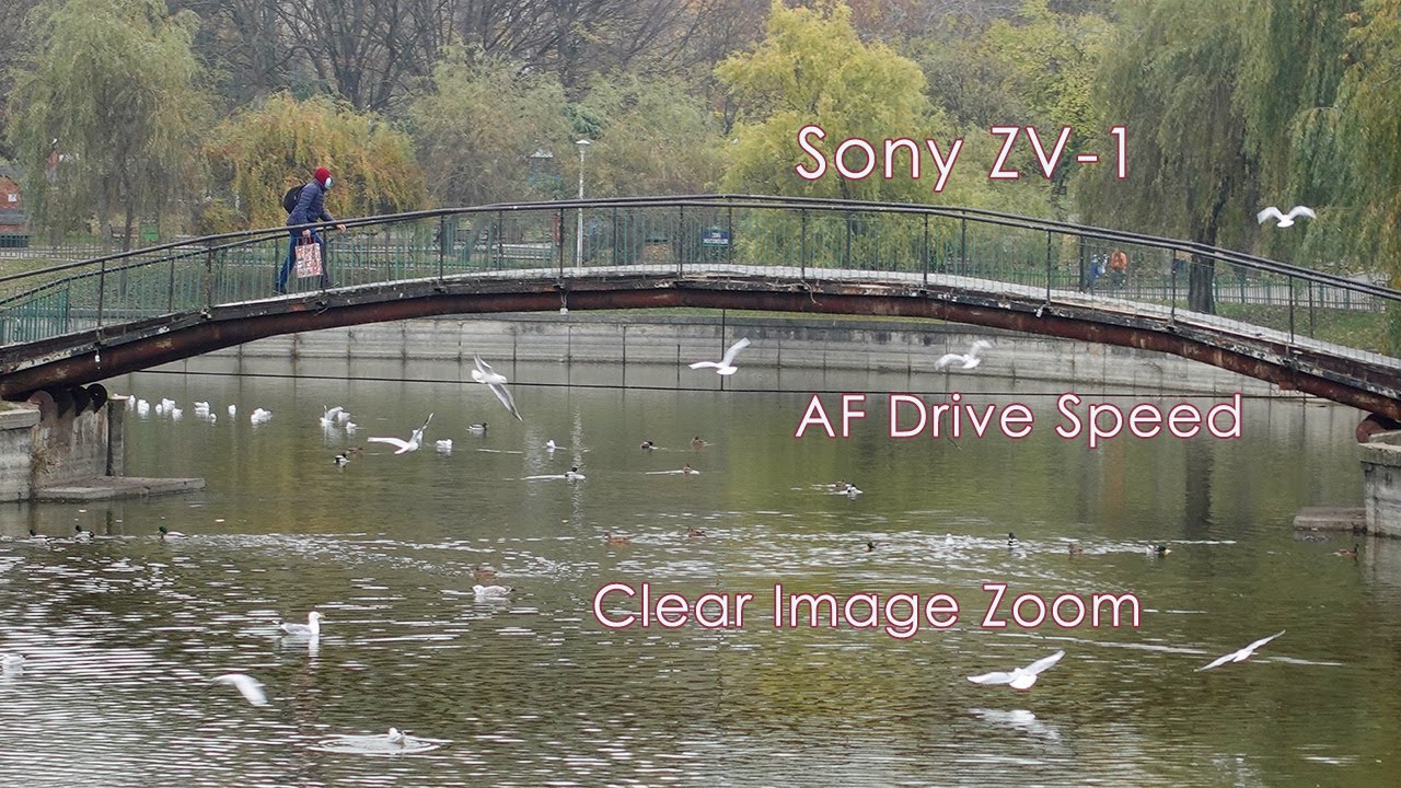 Sony ZV 1 AF Speed Clear Image zoom test