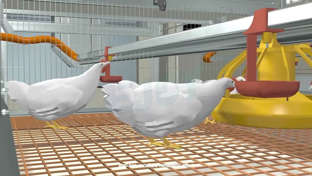 3D Showcase: EJOY Large-scale Automatic Harvesting Broiler Cage System