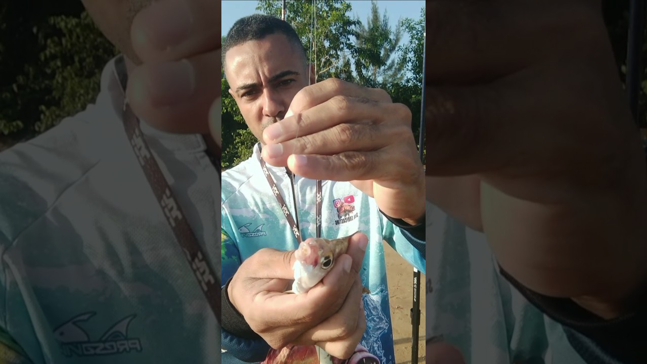 UM DOS MELHORES ANZ&Oacute;IS PARA PESCAR A CARAPEBA E BETARA #fishing #pescaria #shorts