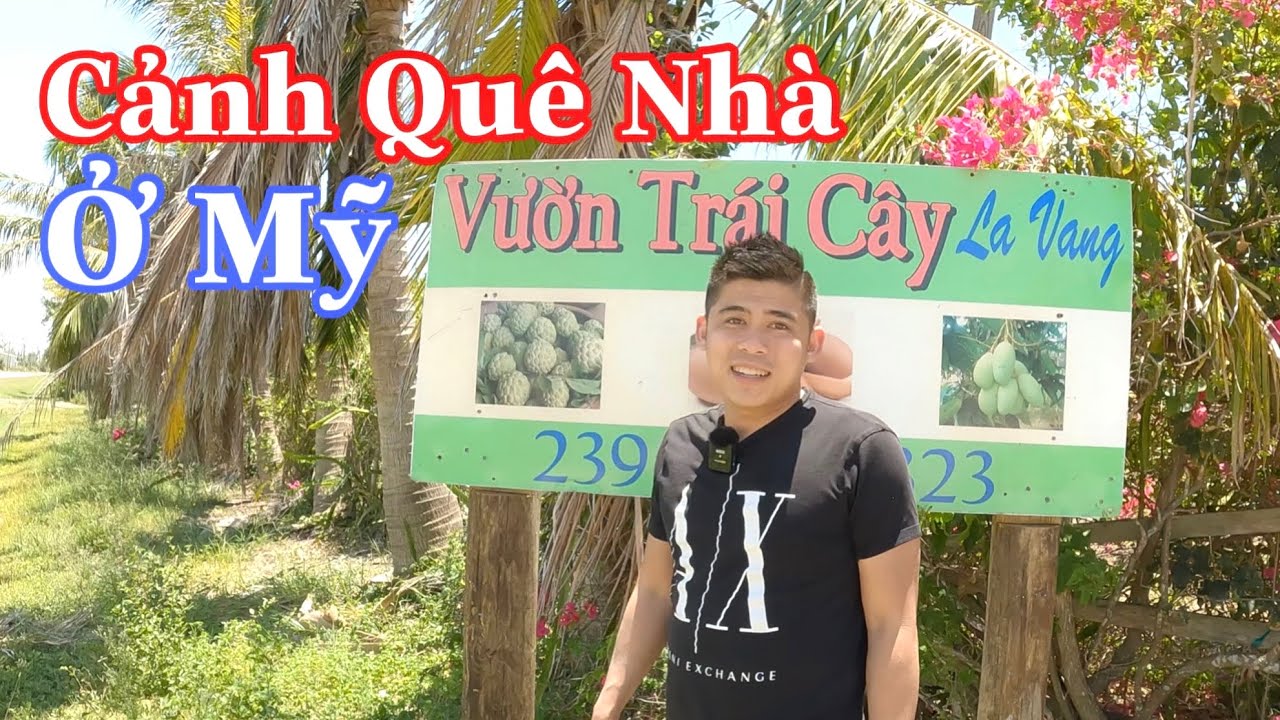 Cuộc Sống Của Người Việt Ở Florida Y như Quê Nhà Phần 2