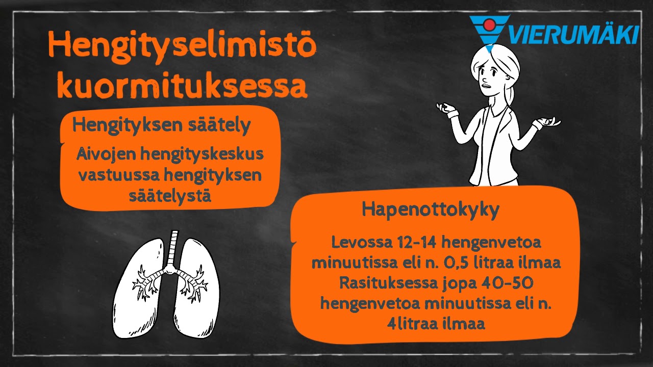 Hengitys- ja verenkiertoelimist&ouml;