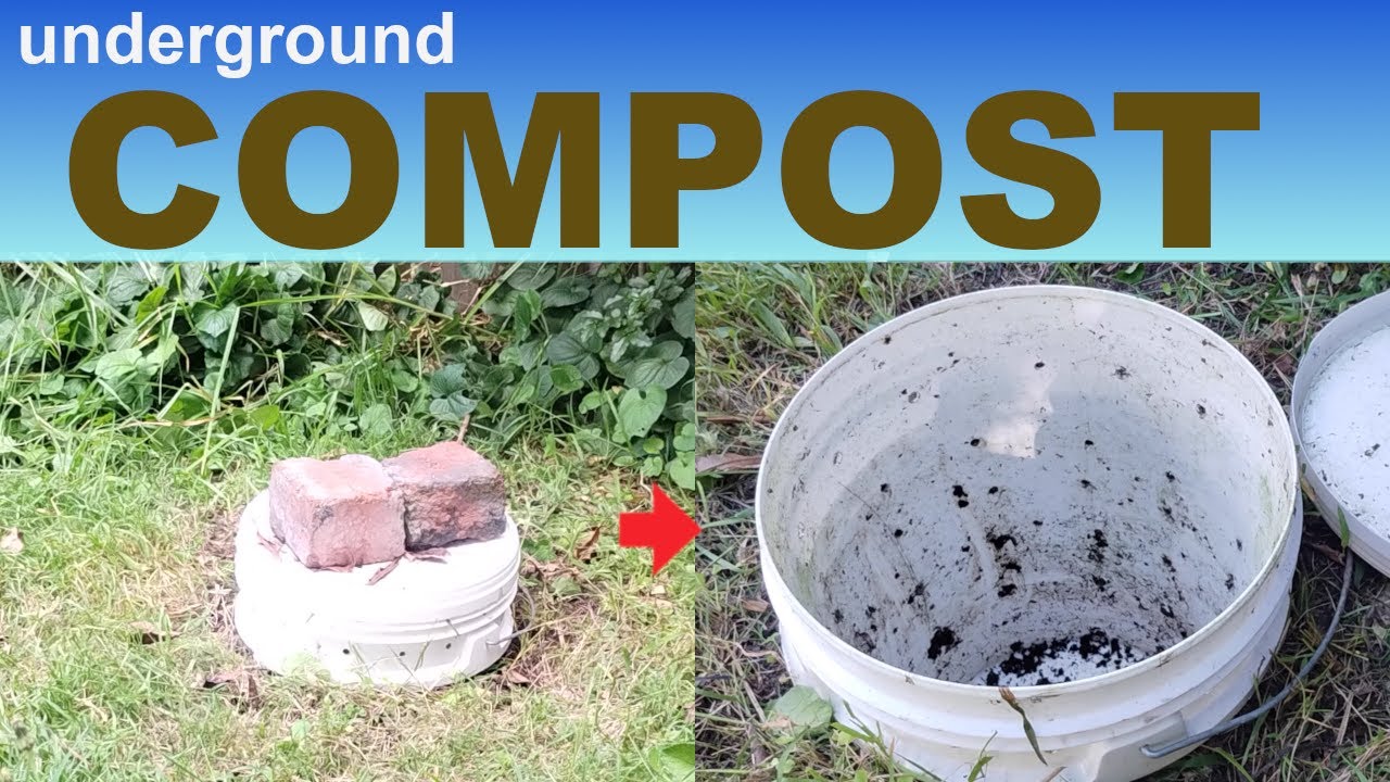 Underground Composting. Moving My Failed Worm Compost… and Bringing It Back to Life!
