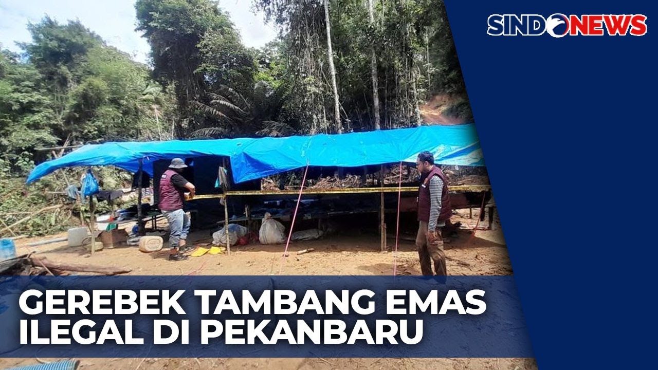 Gerebek Tambang Emas Ilegal di Kabupaten Kuantan Singingi - Sindo Today 24/12