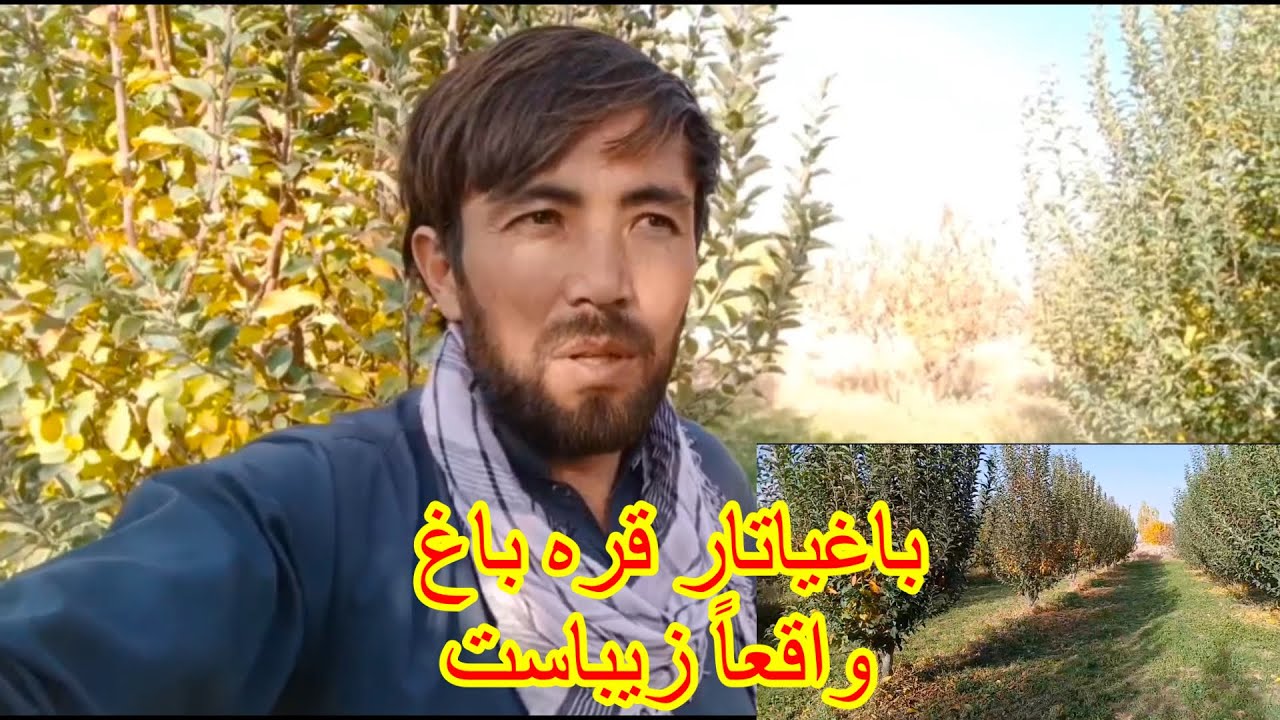 باغیاتار قره باغ در دل دشت بزرگ نسبتآ با فاصله اندک از خود ولسوالی قره باغ