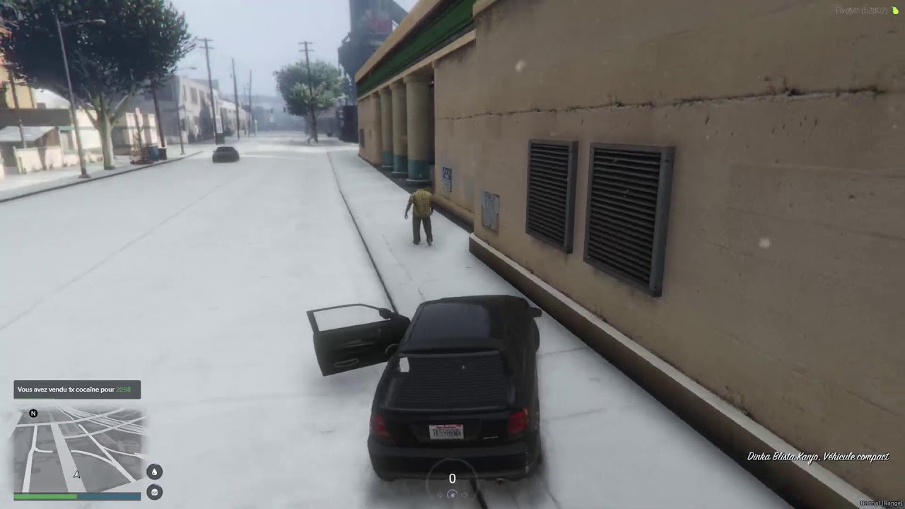 FLASHBACK FA GTA RP