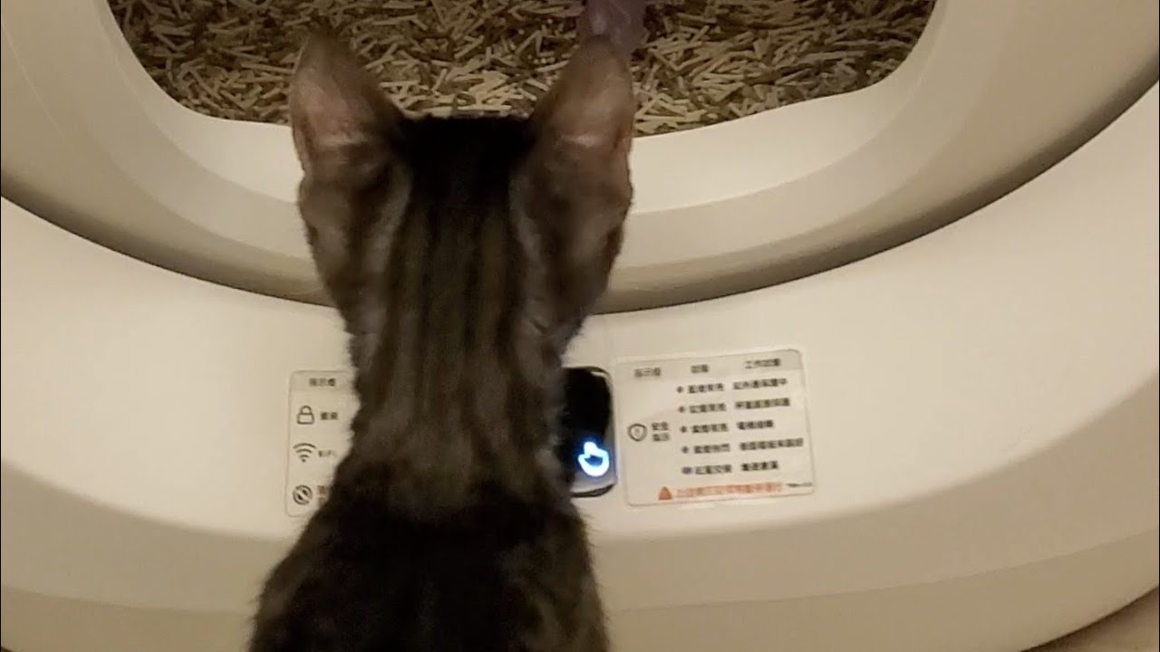 CATLINK S1 Pro 智慧貓砂機 | Jasper's diary