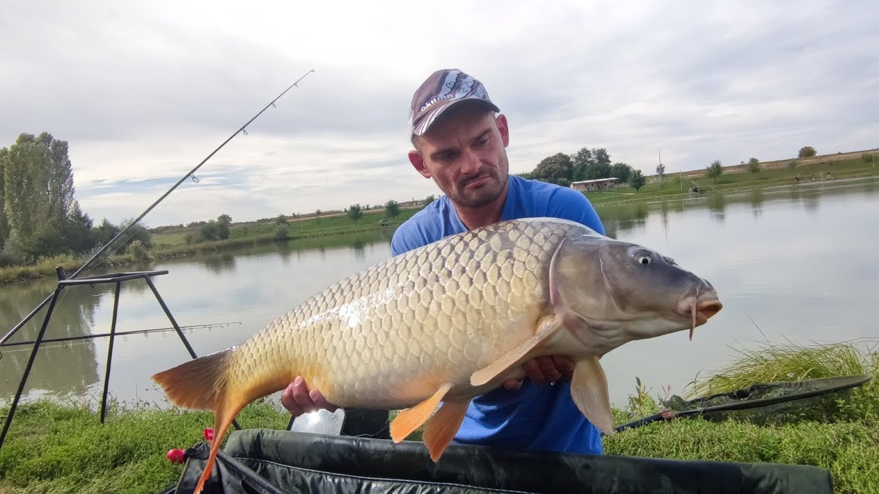 Prvi dnevni jesenski šaranolov u 2022 🎣