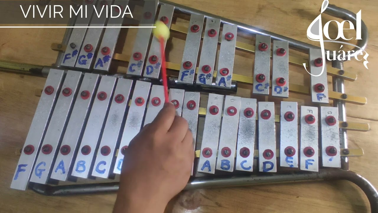 VIVIR MI VIDA / Tutorial para Lira