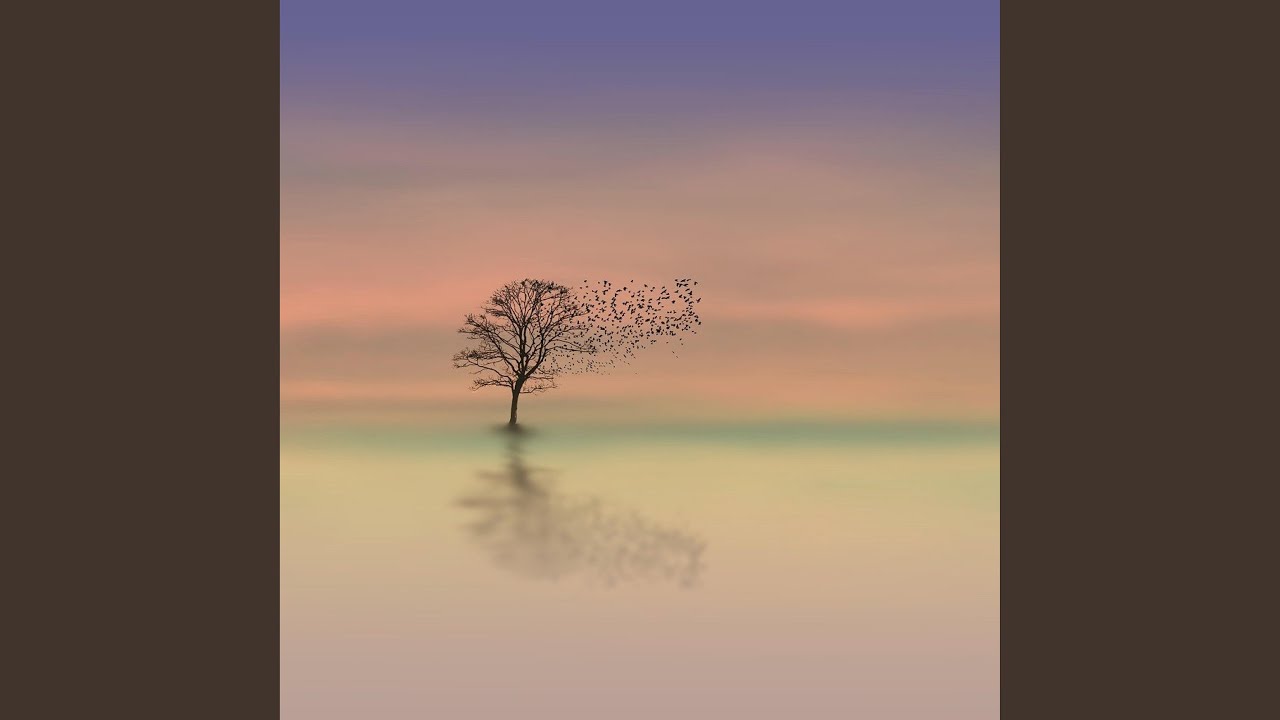 Meditation for Peace