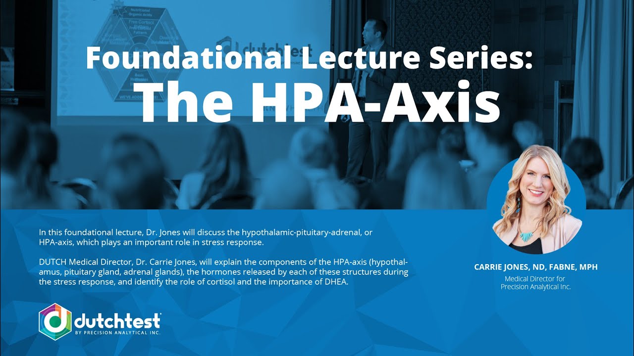 Foundational Lecture Series   HPA Axis