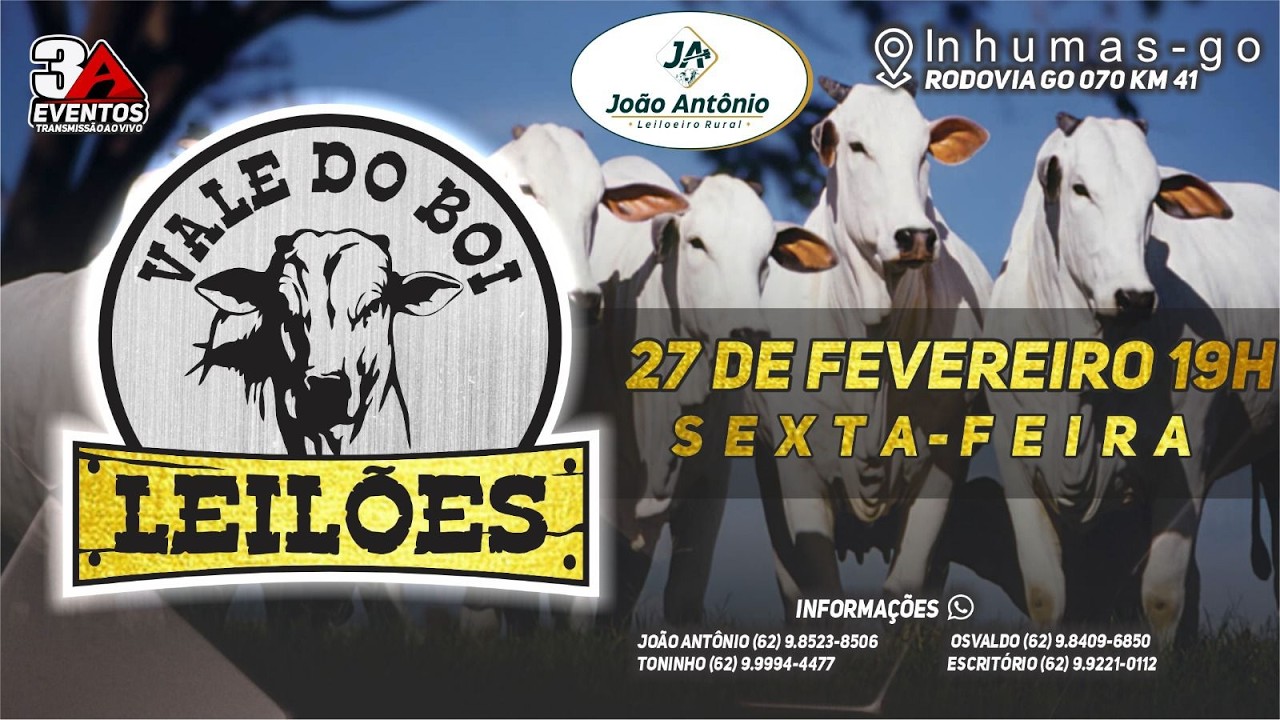 VALE DO BOI LEILOES - INHUMAS GO  - LEILAO VIRTUAL E PRESENCIAL -  27 DE  FEVEREIRO 2026