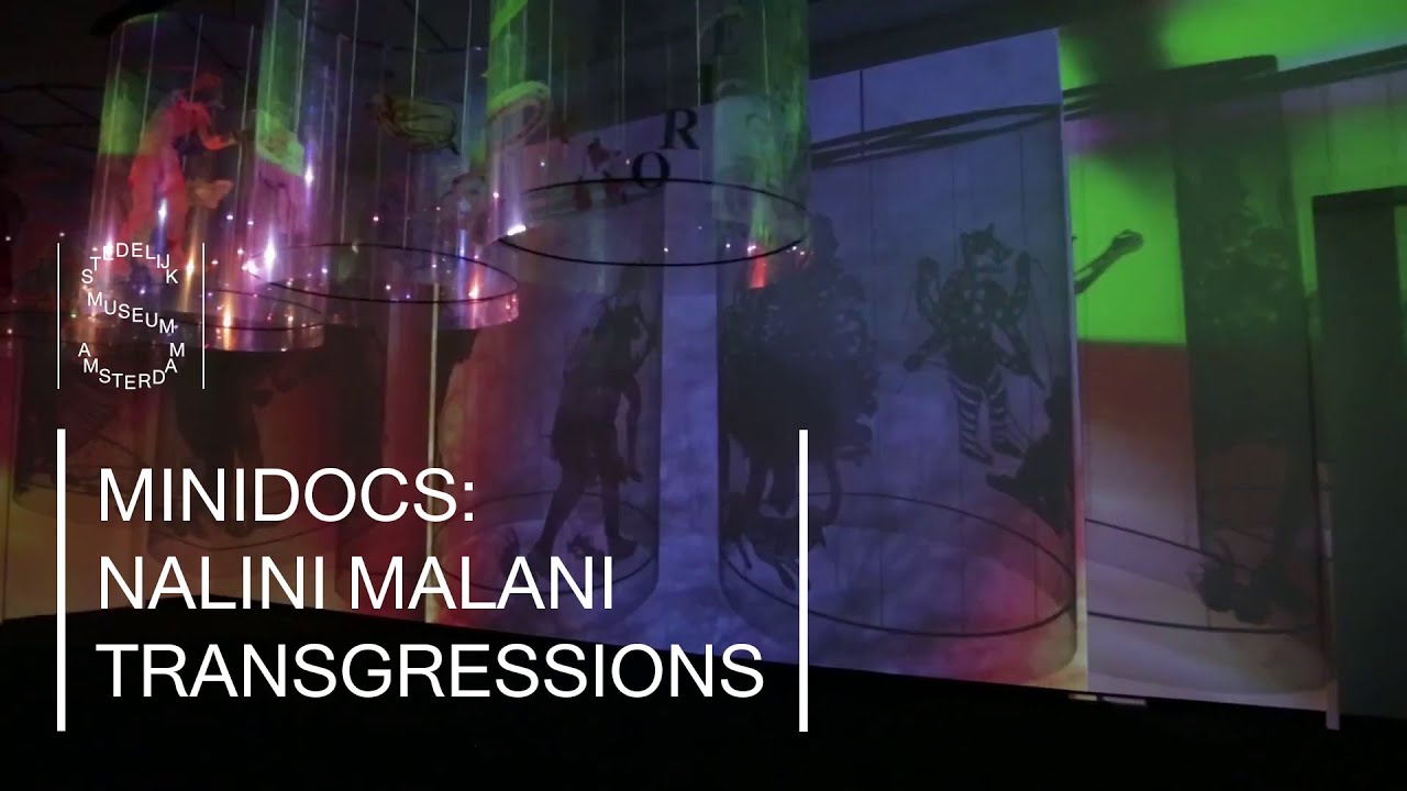 NALINI MALANI - TRANSGRESSIONS