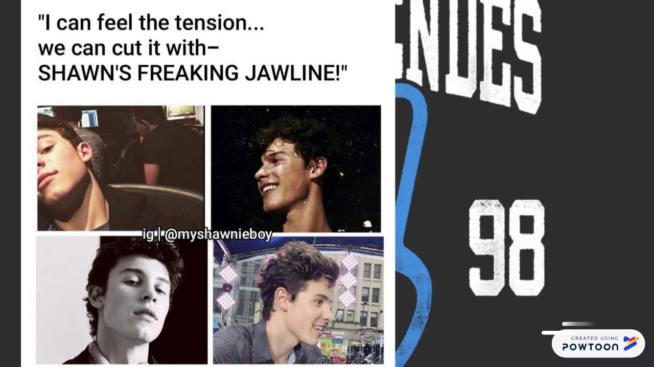 MY FAVORITE SHAWN MENDES MEMES?!?!?!