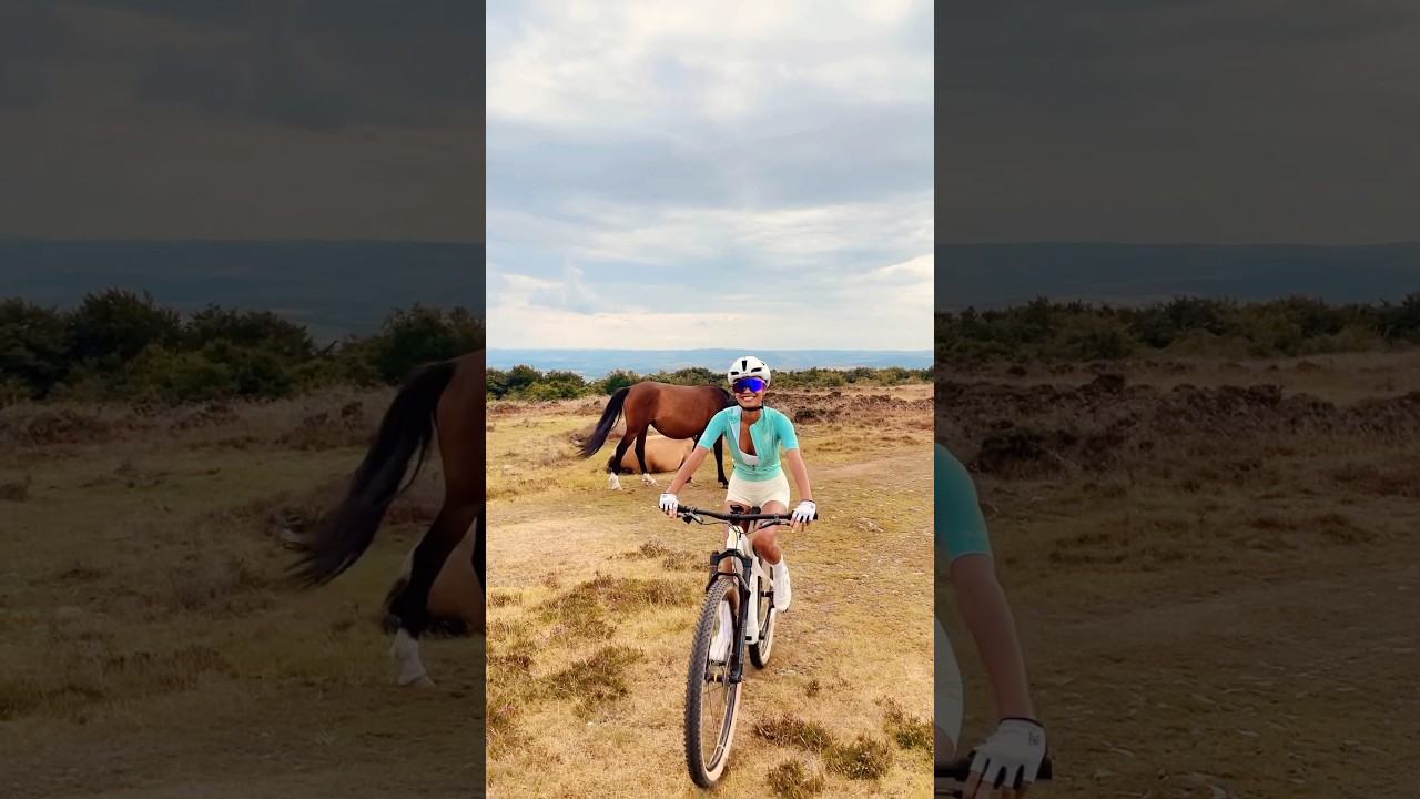 Wow wild horses in the Quantock hills! Love it!