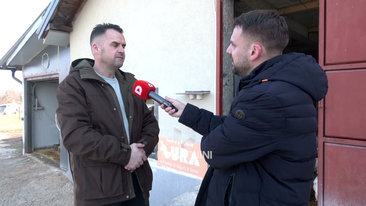 “Jam shumë i lëndum pse kam shku...”/ Fermeri nga Zhuri flet për jetën që kaloi në Zvicër